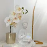 Apartmán Omniax *