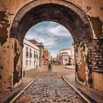 Omniax Faro