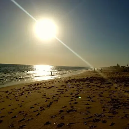 아파트 Omniax 파로